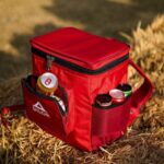 کول باکس دیلور مدل CHILL PACK - Image 2