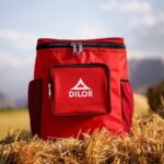 کول باکس دیلور مدل CHILL PACK