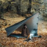 تارپ اسکای وارد دیلور